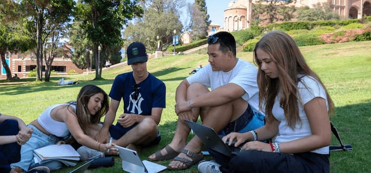 UCLA | Summer Discovery